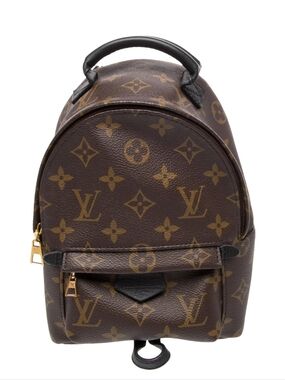 Louis Vuitton Palm Springs Mini Backpack